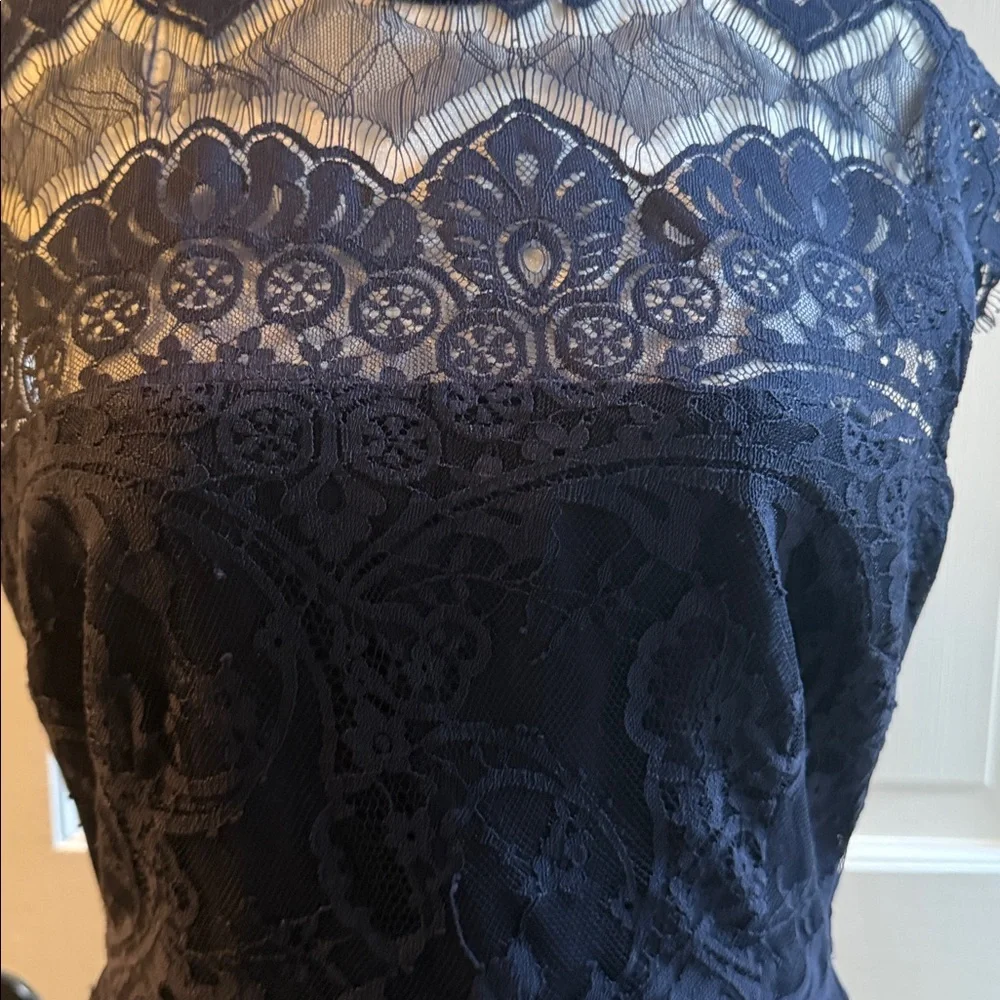 BB Dakota Elegant Dark Blue Lined Lace Dress-4